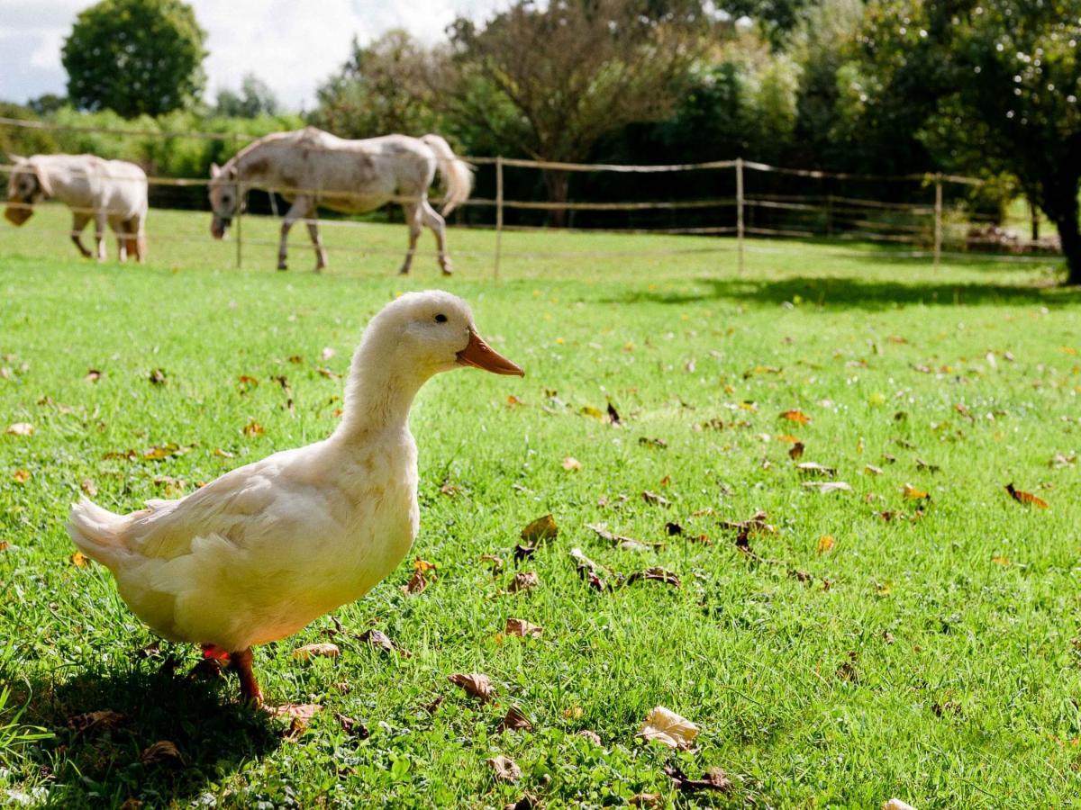 Gite Ferme d'Ervée de Saint-Roch Isigny-sur-Mer Esterno foto